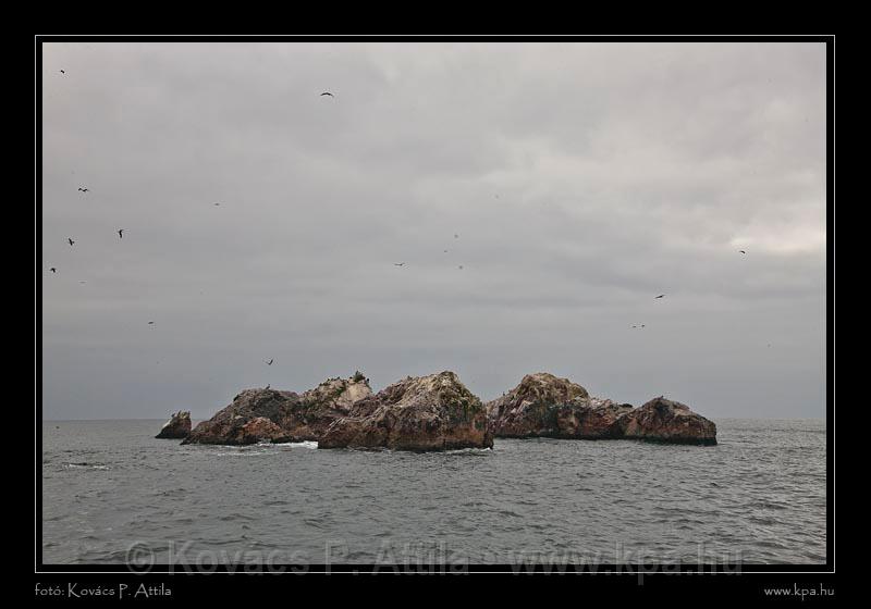 Ballestas Islands 049.jpg